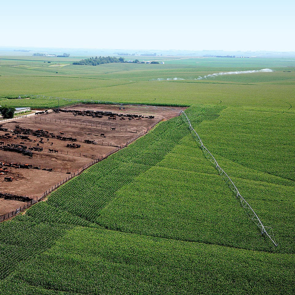Zimmatic pivot Irrigation extensions for full coverage | Lindsay Irrigation